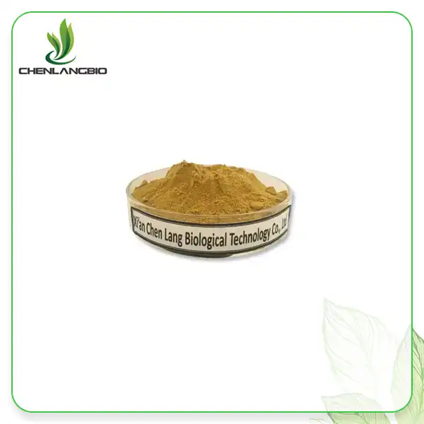 Gynostemma Pentaphyllum Powder